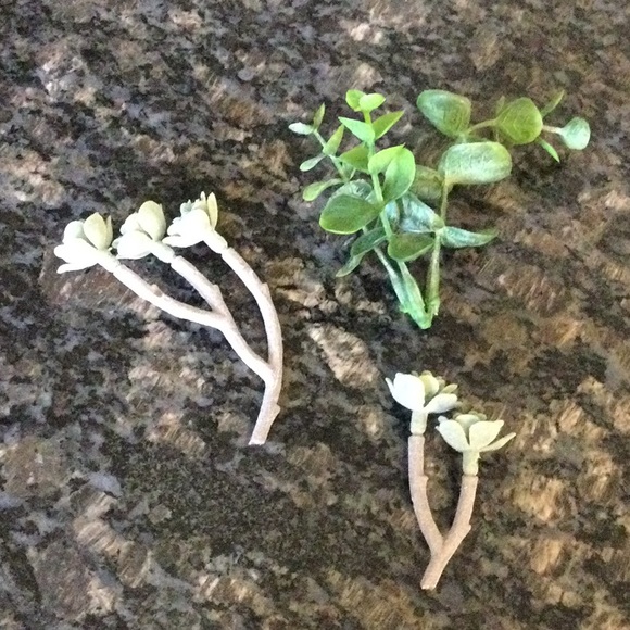 Starfish Wall Hooks & Decor - Picture 9 of 10